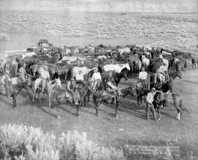Group of Cowboys and Their Horses, Sheridan, Wyoming, c.1890 by H. R. Locke